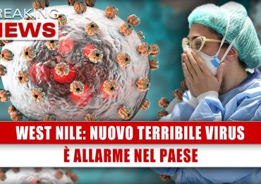 West Nile, Nuovo Terribile Virus: È Allarme Nel Paese! - TristeMondo.it