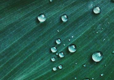 Imprenditori agricoli etnei all'asciutto per continui furti d'<b>acqua</b>. Confagricoltura Catania ...
