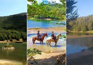 Lago Calamone invaso da piante infestanti, uno specchio d'<b>acqua</b> da salvare