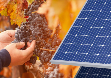 Agrivoltaico: vino più buono e 27 milioni di metri cubi di <b>acqua</b> risparmiati integrando il ... - greenMe