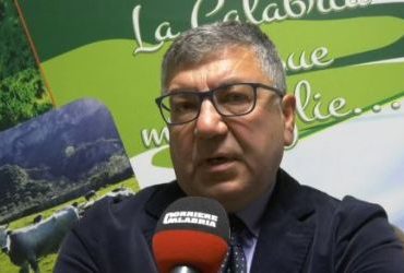 Siccità in Calabria, l'analisi di Giovinazzo: «Tra le stagioni peggiori, abbiamo fatto il massimo»