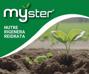 Cereali, la strategia di concimazione in pre-semina Agriges per una <b>gestione</b> più efficiente ...