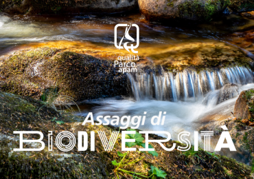 Assaggi di Biodiversità arriva in Valle Pesio
