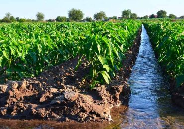 Approvati i valori di deflusso ecologico in Lombardia - Quindici News