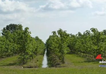 Sostenibilità, al Meeting di Rimini l'esperienza di Coca-Cola HBC Italia - Adnkronos