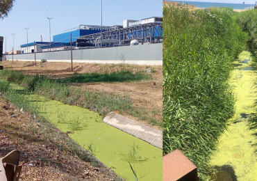 <b>Acque</b> verdi in torrenti e canali della Zona Industriale e alla Plaia: cosa sta succedendo? - La Sicilia
