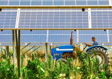 Al via il mercato dell'agrivoltaico - Il Sole 24 ORE