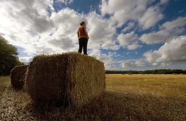 Alto rischio di siccità in Italia, in Sicilia nel mondo agricolo i conti non tornano