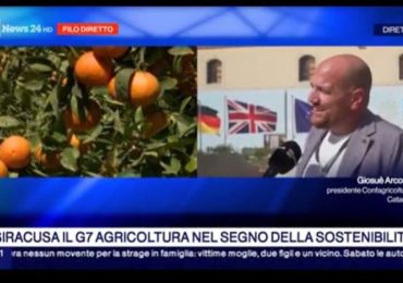 Giosuè Arcoria (Presidente Upa Catania) a Rainews24 sulla siccità in Sicilia - Confagricoltura