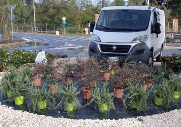 Fiumicino: avviati i lavori di miglioramento del verde urbano con il progetto "Fiumicino in Fiore"