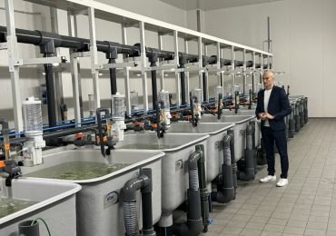 Impianti di acquacoltura a ricircolo: risparmio energetico e idrico garantiti - ICP Magazine