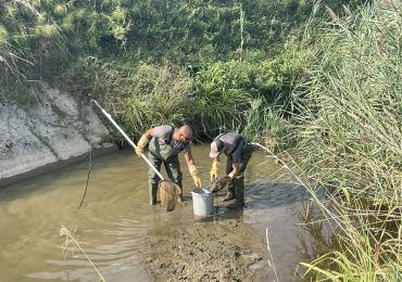 Corsi d'<b>acqua</b> sempre più secchi e caldi nel Preval, 500 pesci salvati dal rio Barbucina