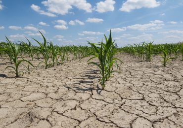 Salviamo la risorsa acqua imparando dalla natura - Terra e Vita