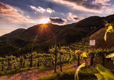 Contrappunti in cantina: a settembre nelle terre del Prosecco Doc incontri con gli autori