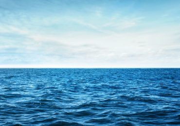 Oceanografia e biodiversità marina: nuove scoperte e sfide - Ecoblog