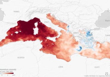 Perché le <b>acque</b> del Mediterraneo sono sempre più calde? Gli effetti del cambiamento climatico