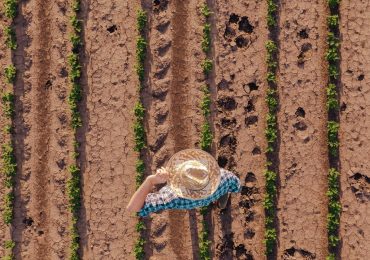 Che cos'è l'aridocultura in agricoltura. Esempi concreti di buone pratiche per <b>risparmio idrico</b>
