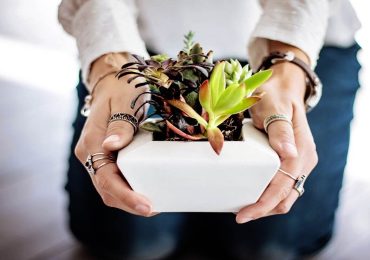 Bioarchitettura, nuova frontiera delle costruzioni | Il cemento ha divorato tutto - CUENEWS | Building