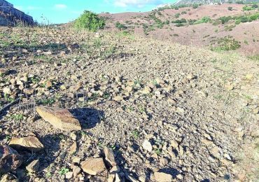 Ecco le proposte di Confagricoltura e Coldiretti per battere la crisi idrica La Nuova Sardegna