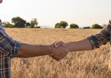 Rinnovato il Contratto Collettivo Provinciale di lavoro per gli operai agricoli di Treviso