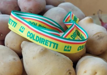 Patate: buona la qualità, in calo la quantità - diAlessandria