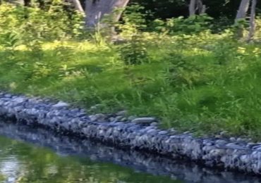 <b>Acqua</b>, tre progetti di riqualificazione ecologica per le criticità climatiche - NovaraToday