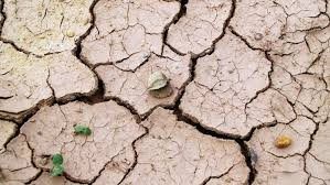 AGRICOLTURA, siccità. In assenza di risorse per l'adattamento e lo sblocco delle ...
