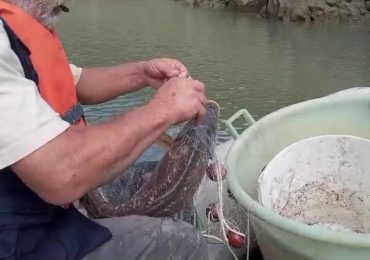 Sta finendo l'<b>acqua</b> nei laghi della Sicilia, scatta il trasferimento dei pesci - la Repubblica