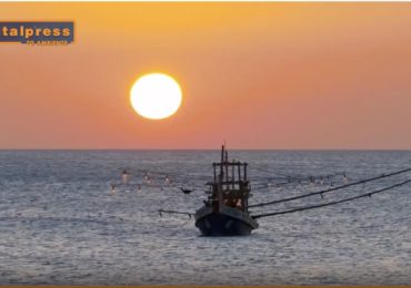 TG AMBIENTE del 13 ottobre - Rinnovabili, in arrivo oltre un miliardo di euro … - (Video)