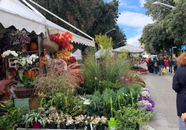 Inaugurata questa mattina la 70esima Mostra mercato dei fiori e delle piante ornamentali a Pesaro