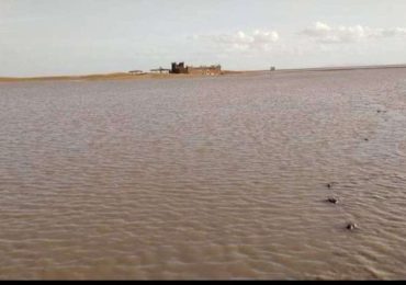 La Valle del Draa, un'oasi sotto assedio - Africa Rivista