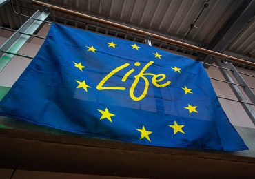 Transizione verde in Europa: un investimento di oltre 380 milioni - Apiceuropa