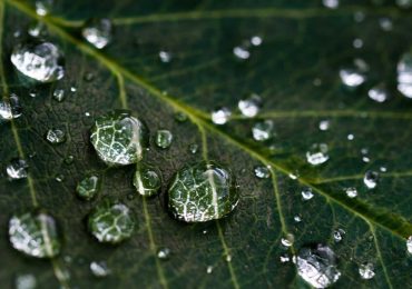 Il Valore dell'<b>Acqua</b> 4.0, ecco la startup vincitrice della quinta edizione - DigiTech.News