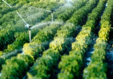 ECONOMIA & SOSTENIBILITA': VI Forum <b>Acqua</b> - imgpress