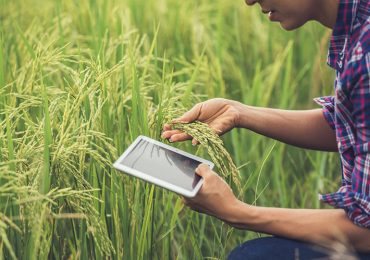 Agricoltura in Campania, le sfide del futuro tra nuove tecnologie e cambiamenti climatici