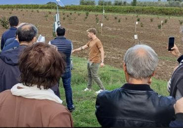 Confagricoltura Arezzo: al Vegni focus su nocciolo e irrigazione di precisione - La Nazione