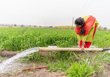 Stress idrico e agricoltura, la grande sfida dell'alimentazione globale - Rinnovabili