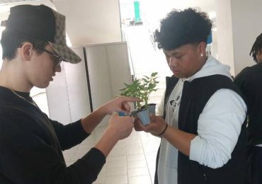 I pomodori crescono "senza terra" nella serra sostenibile degli studenti del Mattei - piacenzasera.it