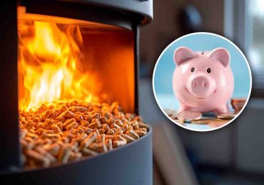 Questi modelli di stufa a pellet non vengono usati solo per riscaldare casa e il <b>risparmio</b> è ...