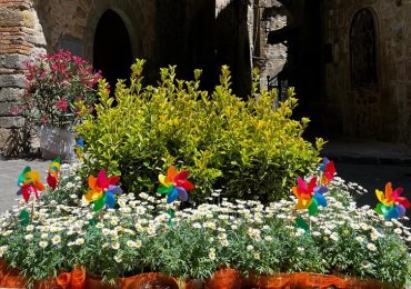 Consumi, Coldiretti: arriva il fiore 100% green - Il Tabloid