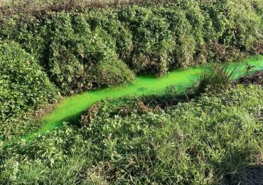 Vicentino - Il fosso diventa verde fluo: preoccupazione dei cittadini, ma c'è una spiegazione