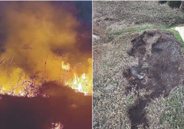 Incendio a Torre Guaceto, il sospetto del dolo - Quotidiano Di Puglia