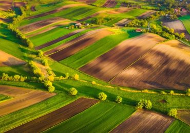 Eurostat: censimento agricolo da dati geospaziali - EFA News