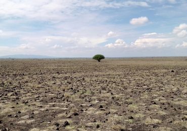 L'acqua: emergenza mondiale, sociale ed economica - Meer