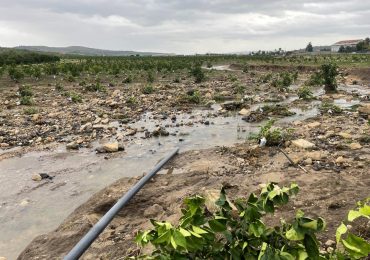 Cambiamento climatico incubo degli agricoltori - Terra e Vita
