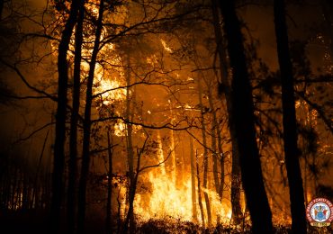 Usa allarme siccità | incendi in New Jersey decine di strutture minacciate Fumo anche a ... - Zazoom