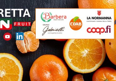 Clementine: occorre migliorare la <b>gestione</b> delle nuove varietà club - Italiafruit News