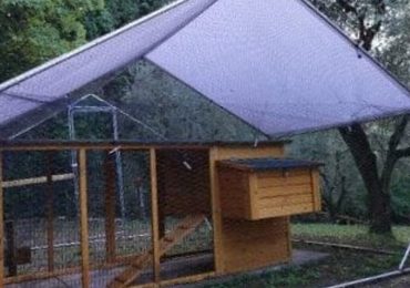 Nasce City farm la fattoria urbana con percorsi di educazione ambientale rivolti alle scuole perugine