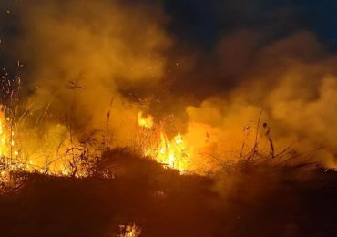 Torre Guaceto, incendio circoscritto: si pensa al tentativo doloso - Affaritaliani.it
