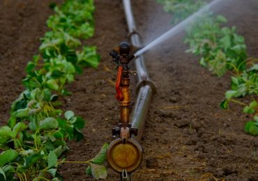 La smart irrigation come strumento per migliorare efficienza. Il cammino verso Fieragricola 2025